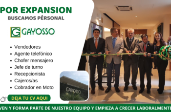 GAYOSSO EMPLEOS